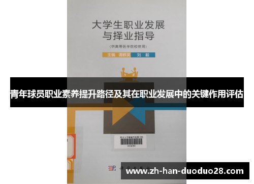 青年球员职业素养提升路径及其在职业发展中的关键作用评估 青年球员职业素养提升路径及其在职业发展中的关键作用评估