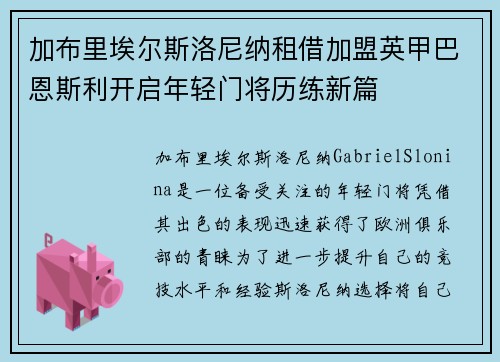 加布里埃尔斯洛尼纳租借加盟英甲巴恩斯利开启年轻门将历练新篇